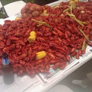 Meet your Posher, Frank